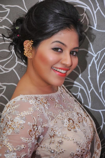 Tamil Actress Anjali New Pics In Saree 14